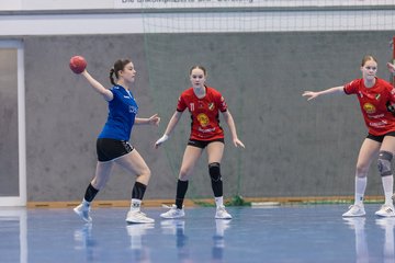 Bild 223 - wBJ TSV Ellerbek - TSV Uetersen : Ergebnis: 15:10
